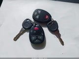 Miniaturka zdjęcia 11