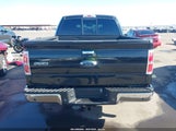Ford F-150 Xlt 1FTFW1CTXDKE12084 снимка