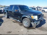 Ford F-150 Xlt 1FTFW1CTXDKE12084 снимка