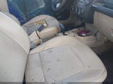 Volkswagen New Beetle S 3VWPF31Y88M402499 снимка