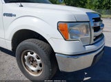 Ford F-150 Xl 1FTNF1CF8DKE06791 снимка