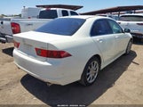 Acura Tsx JH4CL96856C018957 снимка