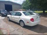 Nissan Maxima Gle/Gxe/Se JN1CA31DXYT733814 fotografie