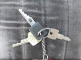 Miniaturka zdjęcia 11