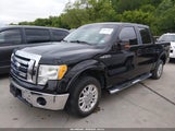 Ford F-150 Fx2 Sport/Harley-Davidson/King Ranch/Lariat/Platinum/Xl/Xlt 1FTFW1CV3AFA94122 снимка
