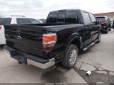 Ford F-150 Fx2 Sport/Harley-Davidson/King Ranch/Lariat/Platinum/Xl/Xlt 1FTFW1CV3AFA94122 снимка