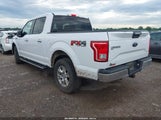 Ford F-150 Xlt 1FTEW1EP4HKE49780 снимка