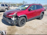 Jeep Cherokee Trailhawk 4X4 1C4PJMBBXHW635107 снимка