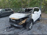 Hyundai Santa Fe Sport 2.0L Turbo 5XYZWDLA4FG257778 снимка