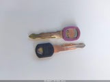 Miniaturka zdjęcia 11