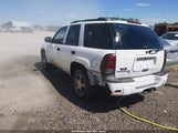 Chevrolet Trailblazer Ls 1GNDS13S662325125 снимка