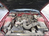 Ford Mustang V6 Deluxe/V6 Premium 1ZVFT80N255237401 photo