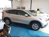 Honda Cr-V Ex-L 2HKRM3H71DH516505 fotografie