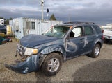 Ford Escape Xlt 1FMCU9D75BKA87782 fotografie