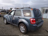Ford Escape Xlt 1FMCU9D75BKA87782 fotografie