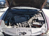 Honda Accord 2.4 Ex-L JHMCP26848C023307 photo