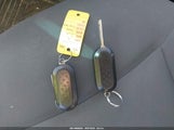 Miniaturka zdjęcia 11