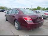 Honda Accord 3.5 Ex-L 1HGCP36878A008322 photo
