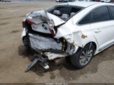 Hyundai Sonata Sport 5NPE34AFXHH470901 fotografie