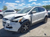 Ford Escape Sel 1FMCU9HX4DUB13757 снимка