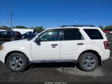 Ford Escape Xlt 1FMCU9D72BKA25076 fotografie