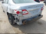 Toyota Corolla Le 2T1BU4EE1BC566346 fotografie