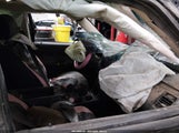 Ford Flex Sel 2FMGK5C80GBA20129 photo