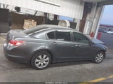 Honda Accord 3.5 Ex-L 1HGCP36809A042295 photo