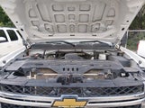 Chevrolet Silverado 2500Hd Work Truck 1GC2CVCG6CZ131424 fotografie