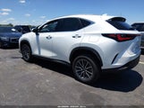 Lexus Nx 350H Luxury JTJHKCEZ7S2062733 fotografie