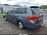 Honda Odyssey Ex 5FNRL3H50AB107942 снимка
