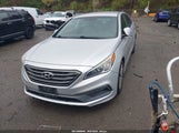 Hyundai Sonata Sport 5NPE34AF6FH258025 photo