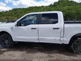 Ford F-150 Stx 1FTEW2LP9TKD13453 fotografie