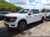 Ford F-150 Stx 1FTEW2LP9TKD13453 fotografie