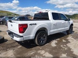 Ford F-150 Stx 1FTEW2LP9TKD13453 fotografie