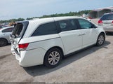 Honda Odyssey Ex-L 5FNRL5H66FB068320 fotografie