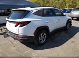 Hyundai Tucson Sel KM8JBCDE7RU314672 снимка