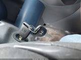 Miniaturka zdjęcia 11