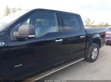 Ford F-150 Xlt 1FTEW1EG9HFA65440 снимка