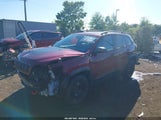 Jeep Cherokee Trailhawk 4X4 1C4PJMBX6MD190351 снимка