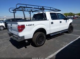 Ford F-150 Xlt 1FTFW1EF1DKG44404 снимка