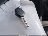 Miniaturka zdjęcia 11