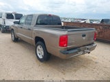 Dodge Dakota Bighorn/Lonestar 1D7CE3GK7AS107422 fotografie