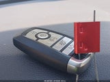 Miniaturka zdjęcia 11
