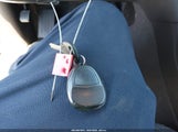 Miniaturka zdjęcia 11