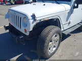 Jeep Wrangler Sahara 1J4AA5D14BL633159 fotografie