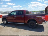 Ford F-150 Fx4/Harley-Davidson/King Ranch/Lariat/Platinum/Xl/Xlt 1FTFW1EV1AFB62799 снимка