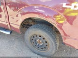 Ford F-150 Fx4/Harley-Davidson/King Ranch/Lariat/Platinum/Xl/Xlt 1FTFW1EV1AFB62799 снимка