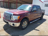 Ford F-150 Fx4/Harley-Davidson/King Ranch/Lariat/Platinum/Xl/Xlt 1FTFW1EV1AFB62799 fotografie