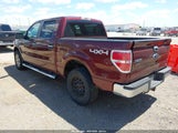 Ford F-150 Fx4/Harley-Davidson/King Ranch/Lariat/Platinum/Xl/Xlt 1FTFW1EV1AFB62799 fotografie